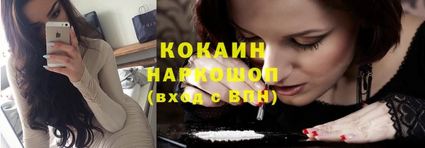 хмурый Верея