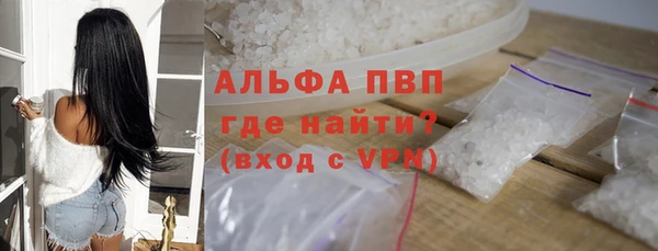 хмурый Верея
