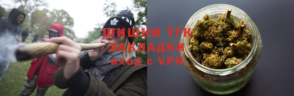 хмурый Верея