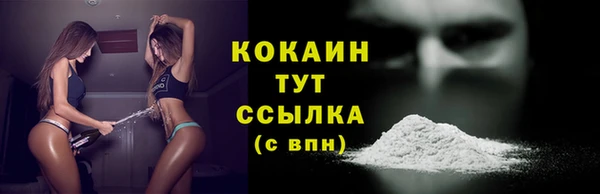 хмурый Верея