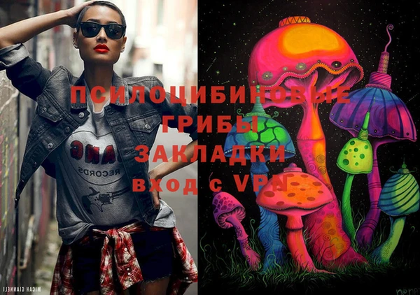 хмурый Верея