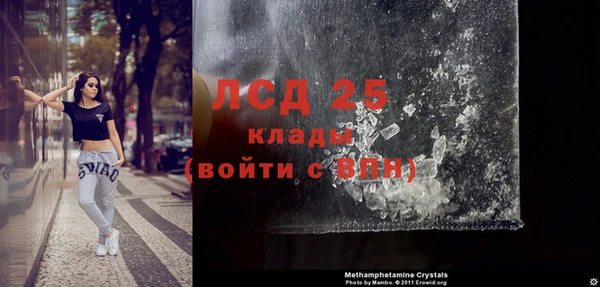 хмурый Верея