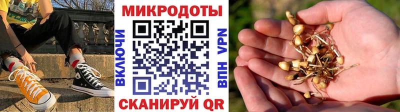 Купить где  Мурино  Галлюциногенные грибы мицелий 